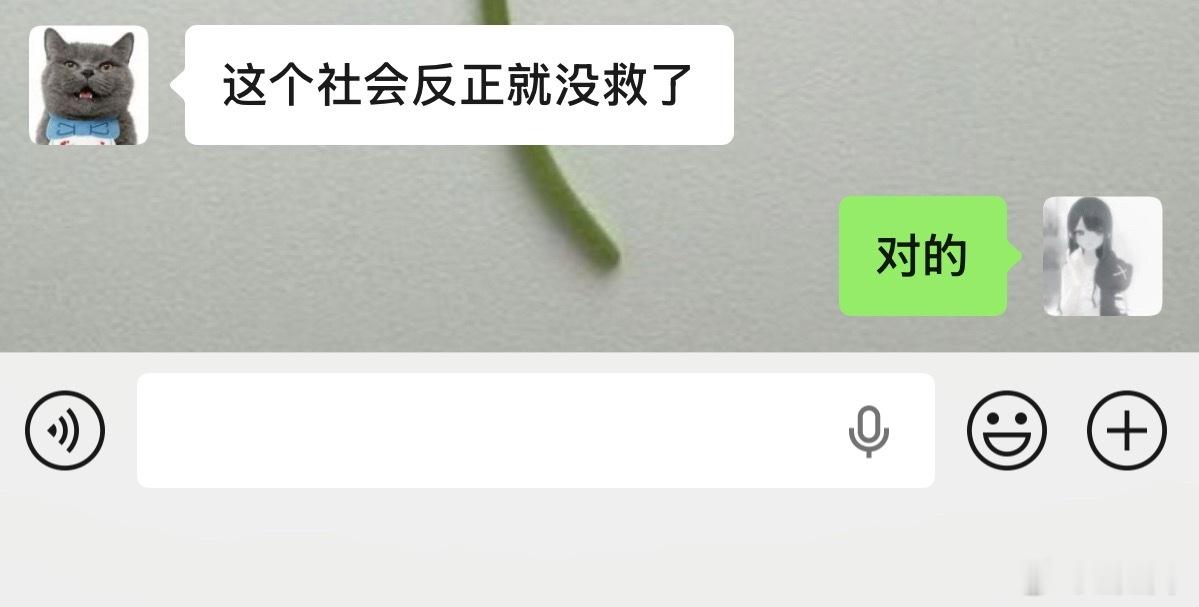 每次和朋友聊天都起承转合到： 