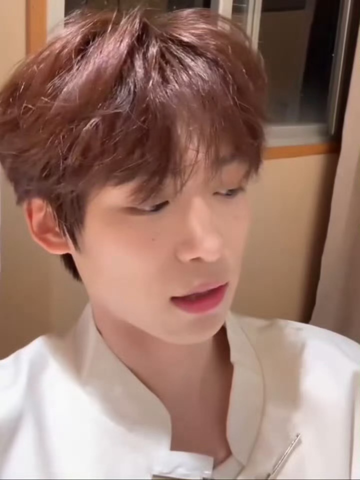 我觉得纸鱼碎碎念好阔耐 
