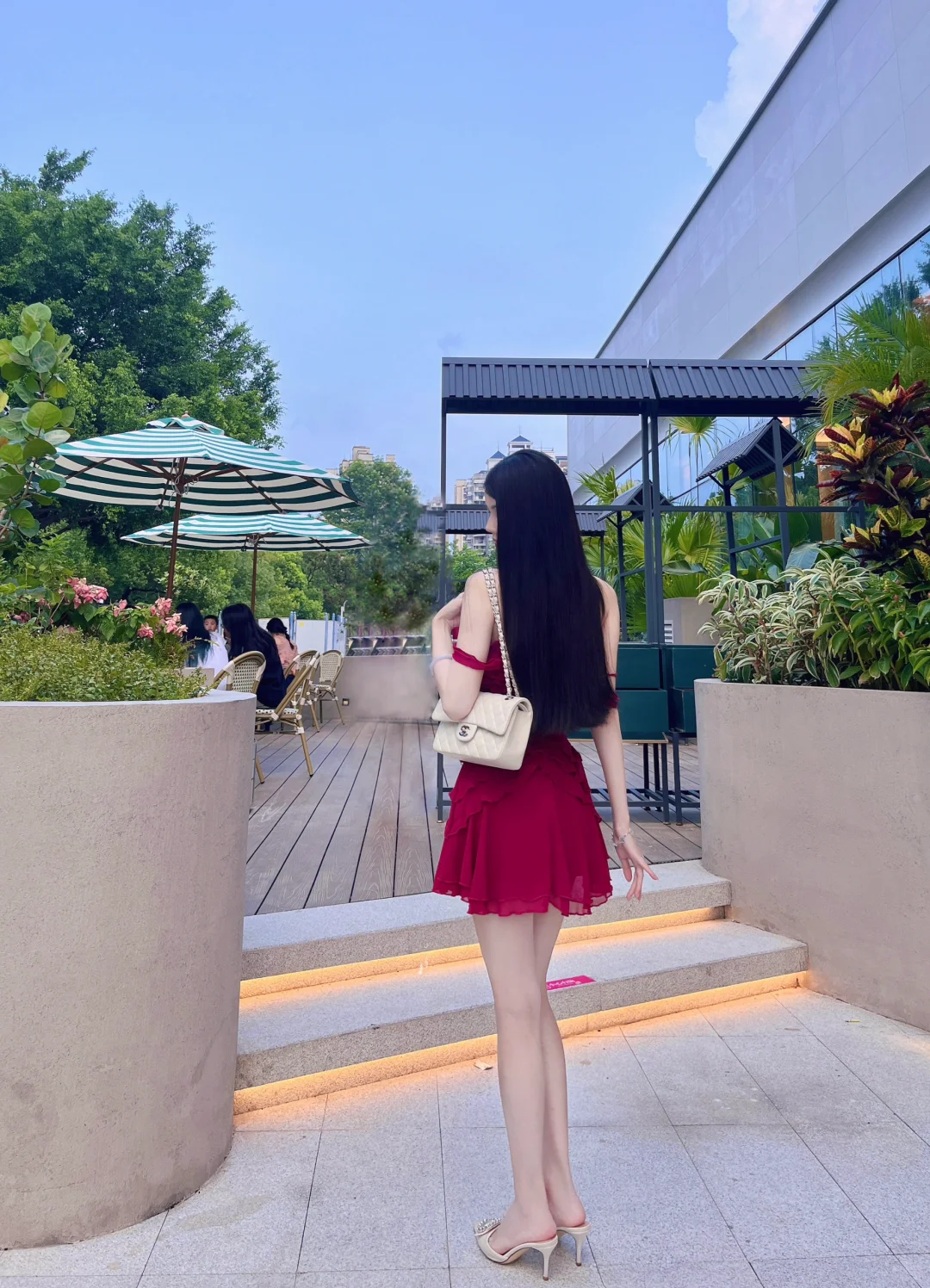 初夏玫瑰🌹