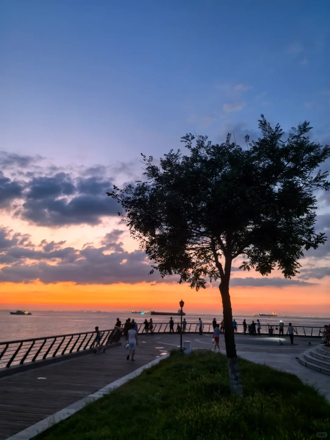 8.28青岛金茂湾落日 最美的季节来啦