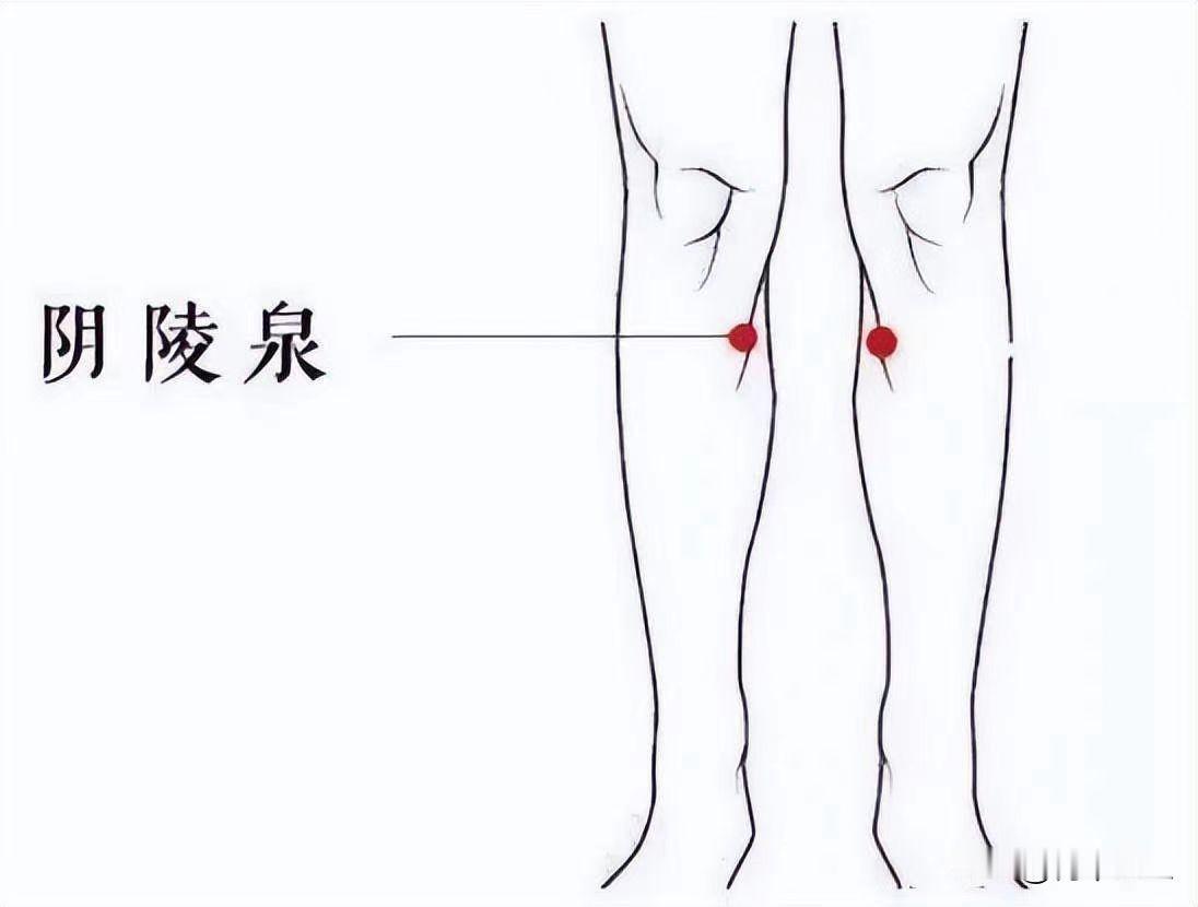 夏季排湿，常按这个穴位，健脾又祛湿！

大家好，我是何医生，如果啊你总是感觉身体