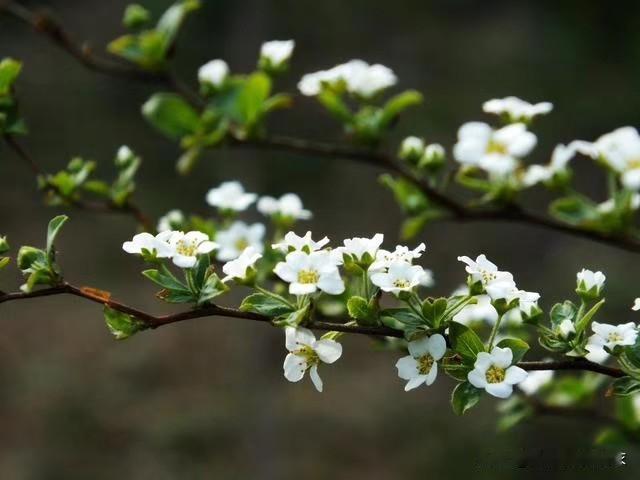 每日分享一句人生感悟所有的努力，都架不住命运之手的轻轻摆弄。命运之手在打你脸的时