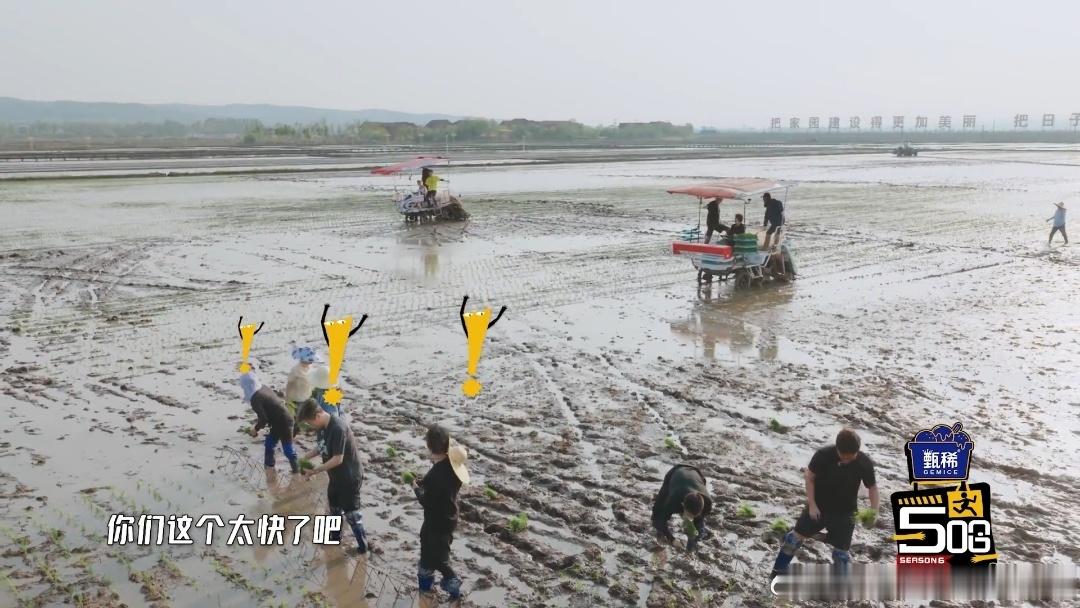 鹿晗开插秧机鹿晗嫌弃都写脸上了哈哈哈哈哈 看五哈鹿晗开插秧机，还真像那么回事。东