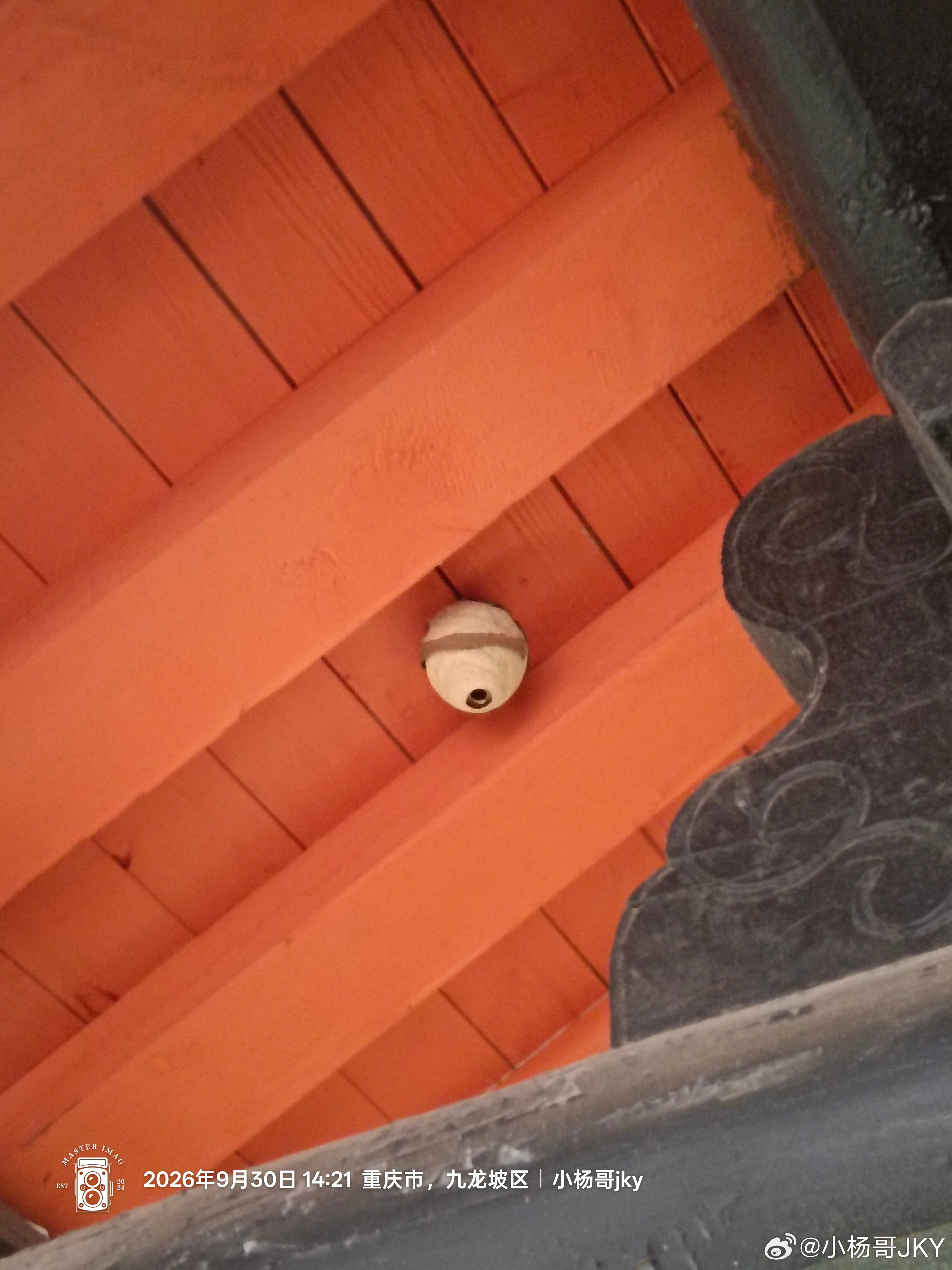 闪现华岩寺重庆文物华岩寺重庆华岩寺小杨哥随手拍跟着小杨哥去旅行重庆旅游[超话] 
