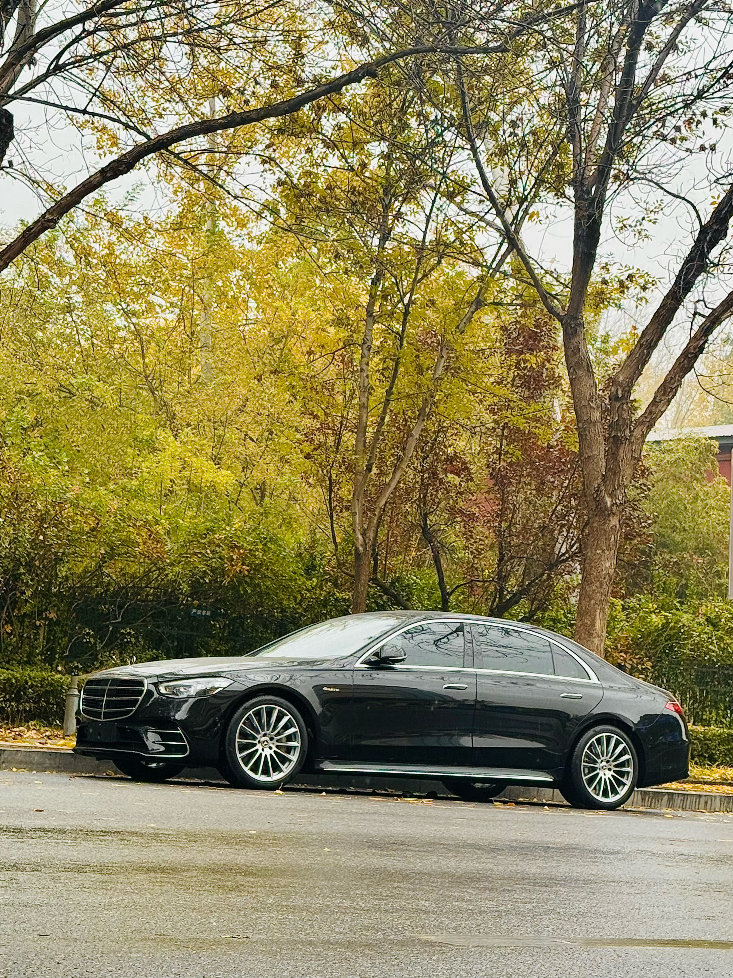 秋雨留金 今天开工去美白 再回来叫它Super白李楠说道李楠说道[超话]奔驰[超