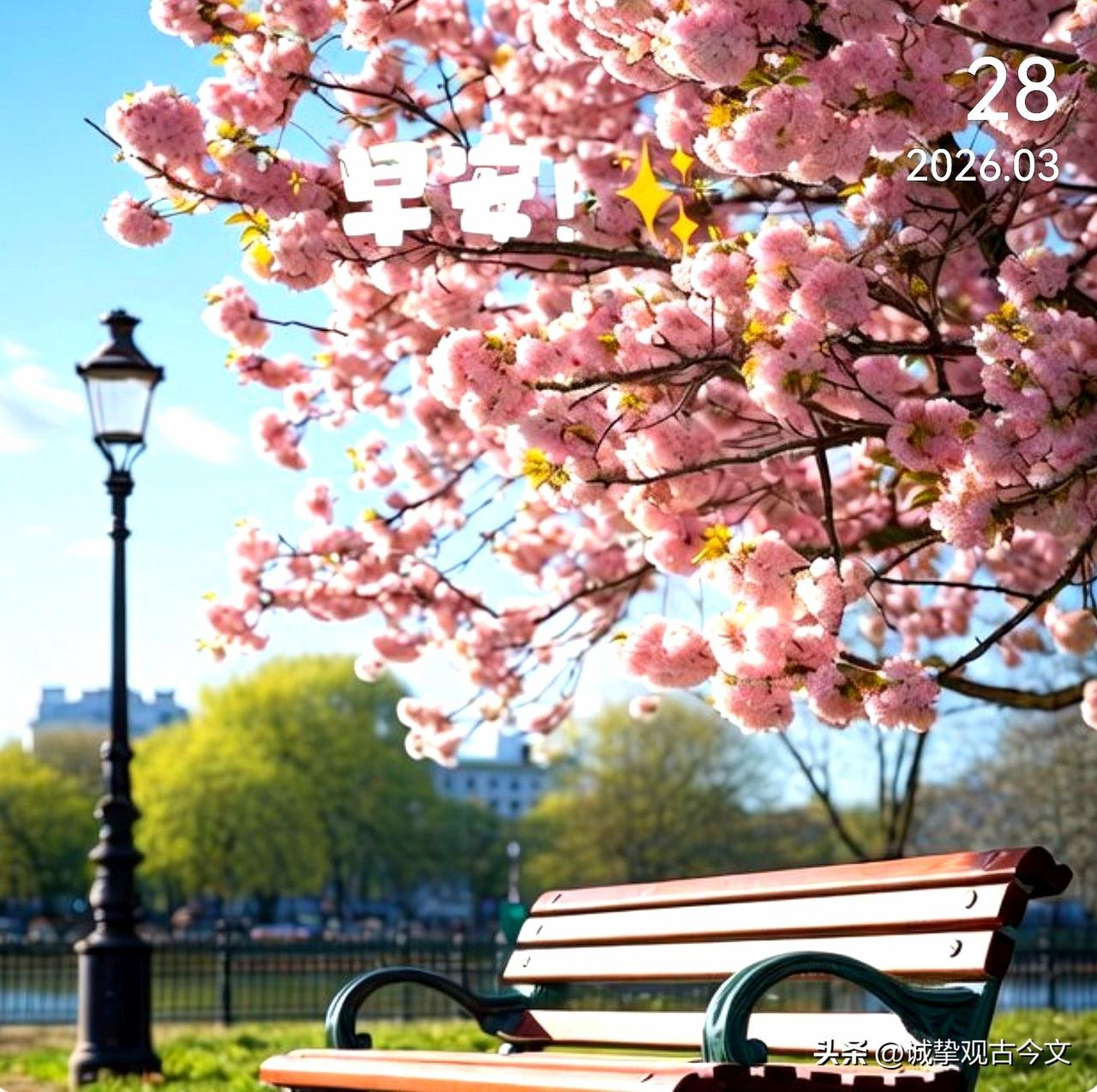 活成自己喜欢的样子，找到最舒服的状态！