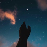 花喜热聊科技