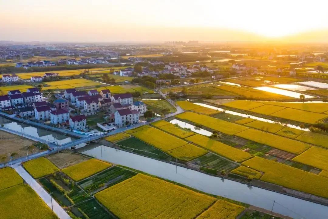 上海出“王炸”，深圳输得“心服口服”
上海“五个中心”——国际金融中心、国际贸易