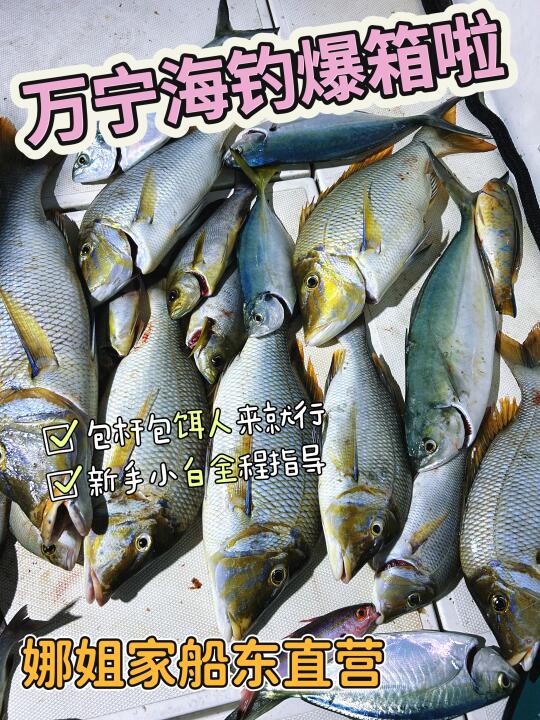 23号双帆石找一海钓搭子