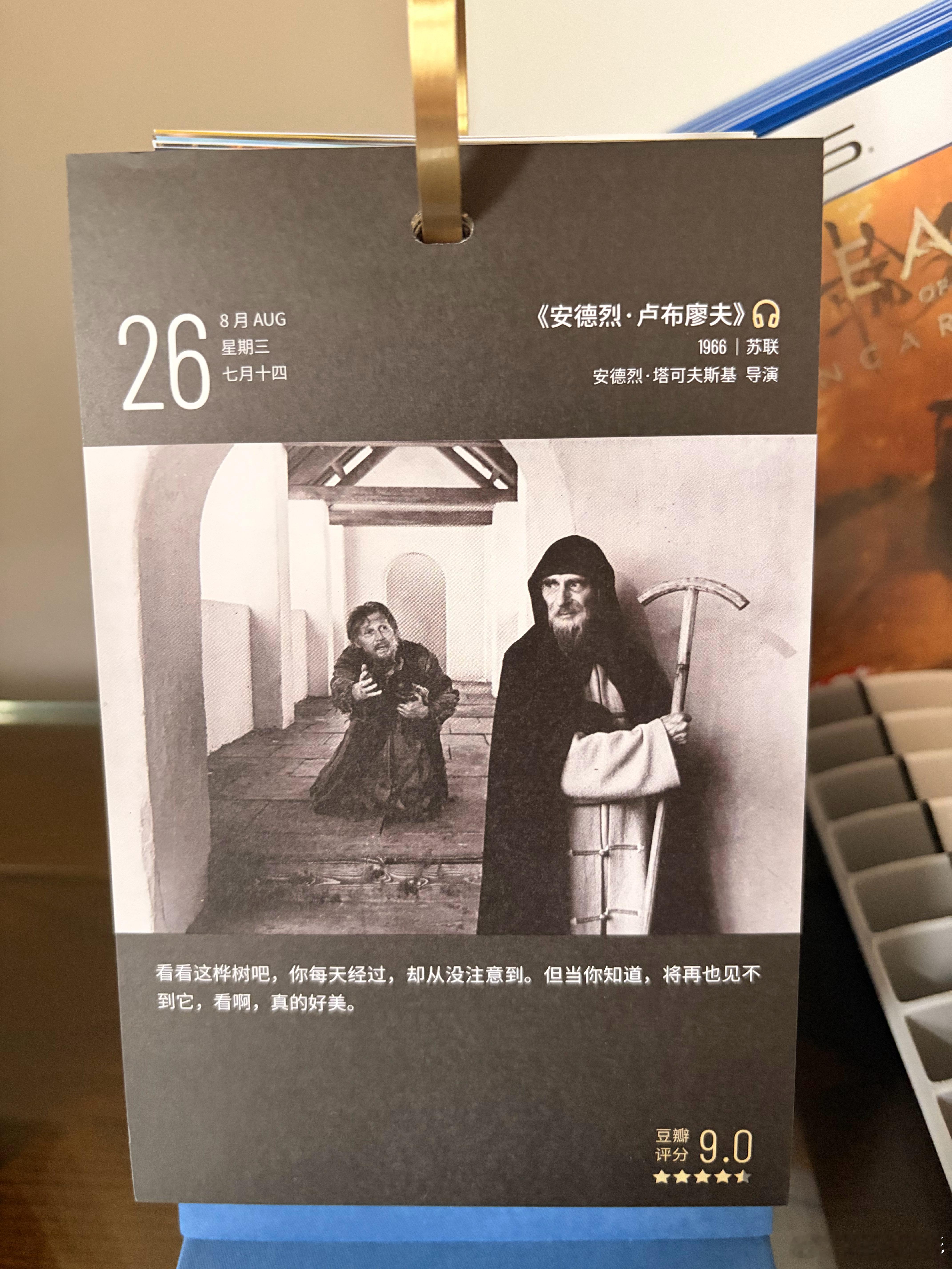 看看这桦树吧，你每天经过，却从没注意到。但当你知道。将再也见不到它。看啊，真的好
