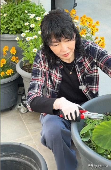 张曼玉深水湾豪宅养鸡，昔日影后拒绝光鲜，戳穿了多少人的养老梦！[灵光一闪][灵光