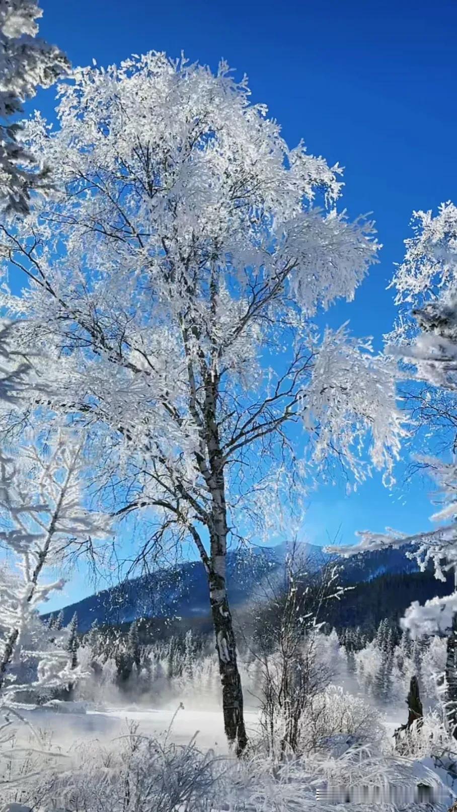 冬日仙境，白雪皑皑，静谧如画。冬日美景留存 雪天的景色真美 峰回路转雾凇 美丽的