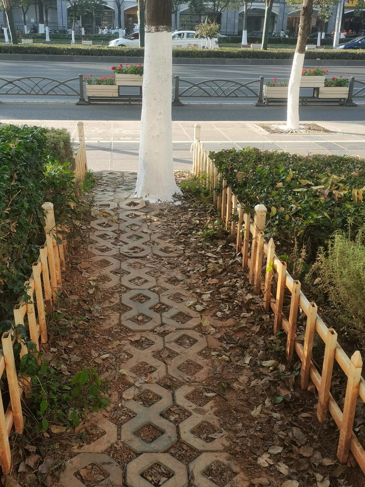 这个路设计得比较合理
就是不能过推车之类的，当时也是应该没有想到吧！
以上仅供参