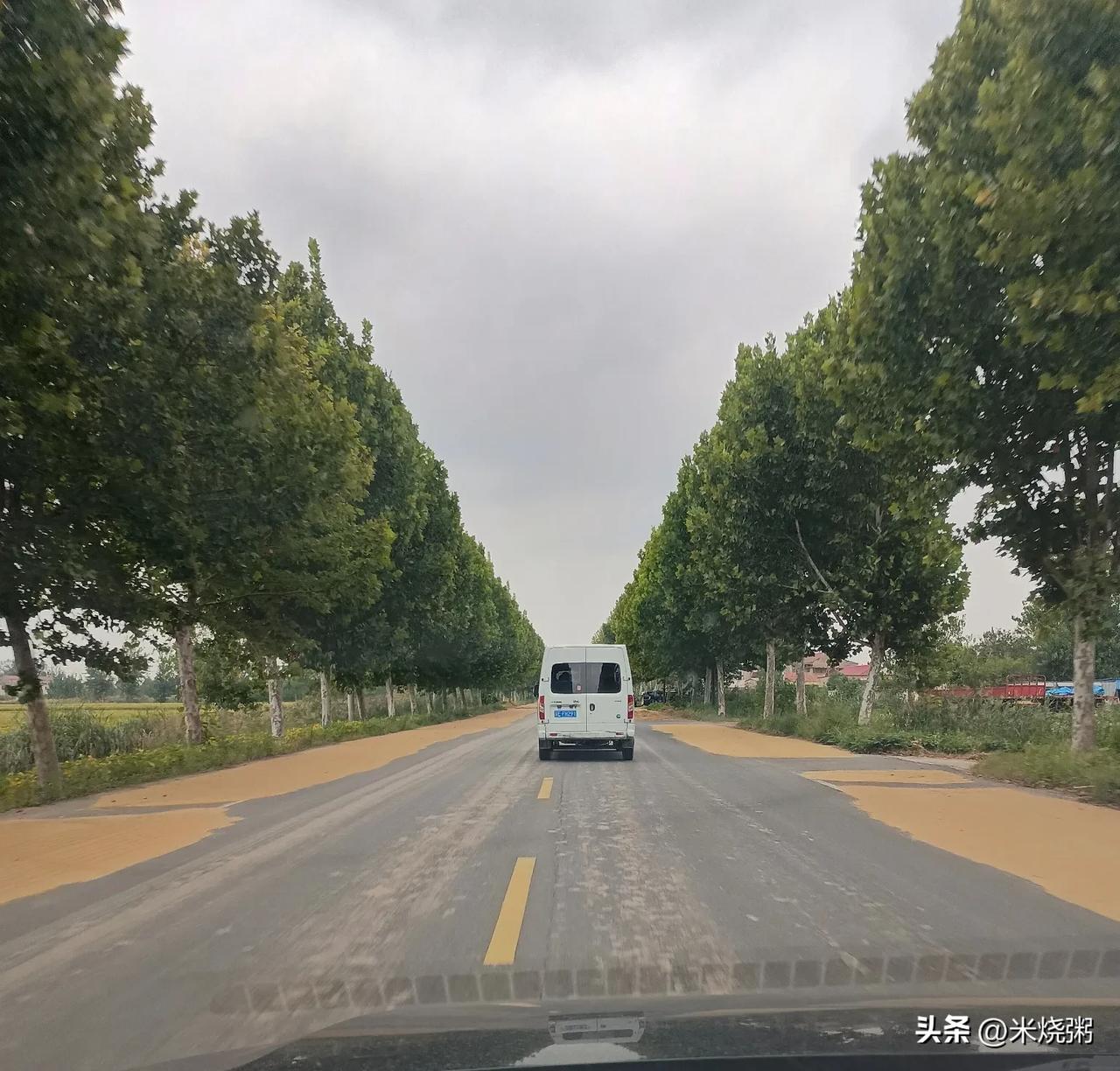 江浙沪皖秋收美景一览:
图一:南哥(灌南)
图二:灌云
图三~图六:浙江
图七: