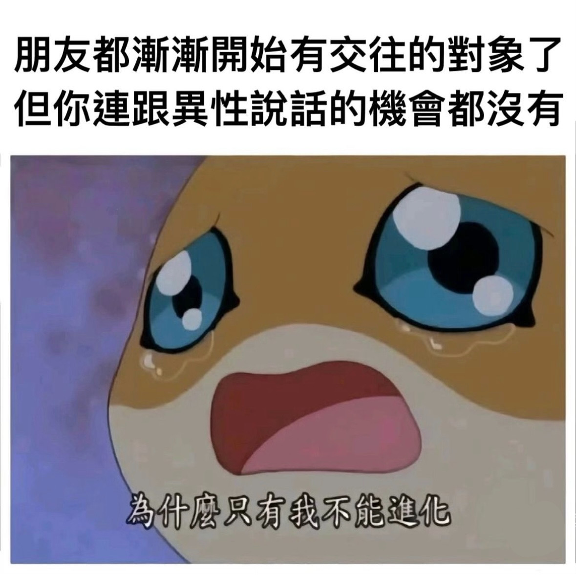 十里八乡有名的#meme# ​​​
