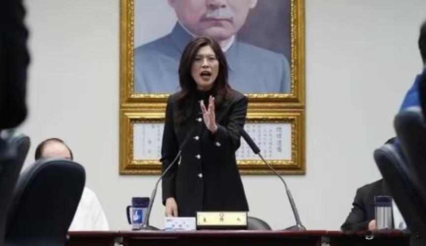 传：郑丽文一行访陆行程花费480万新台币，陷入报销困难？

左右危难之时，张亚中