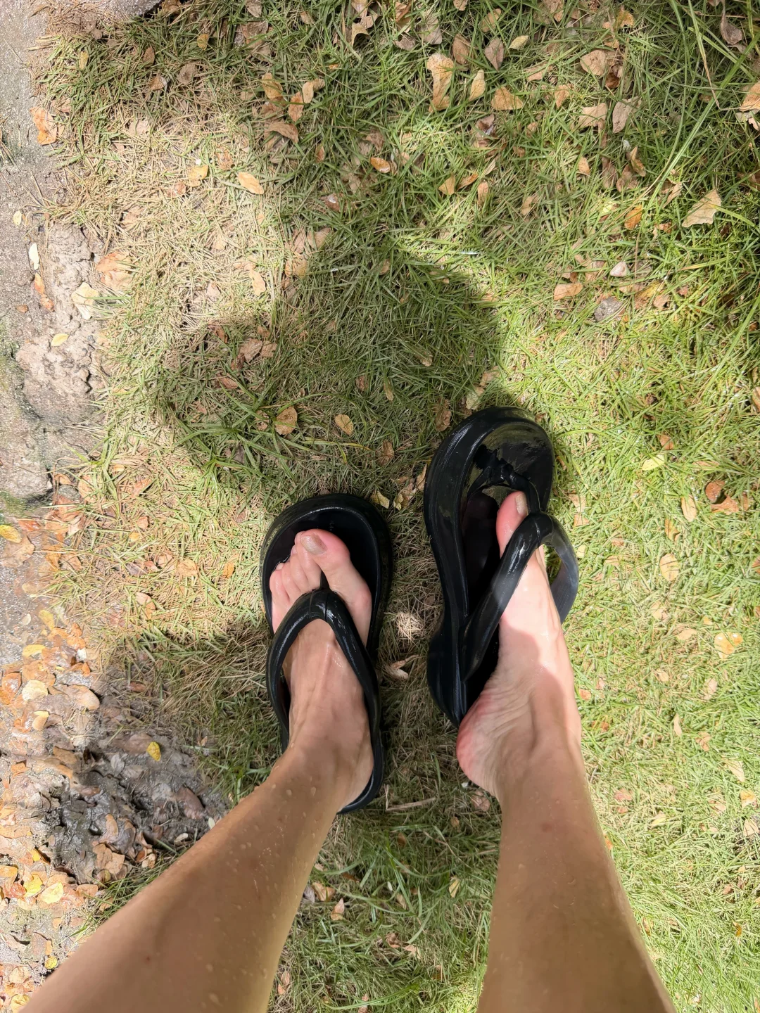 贺涵 能不能来接我