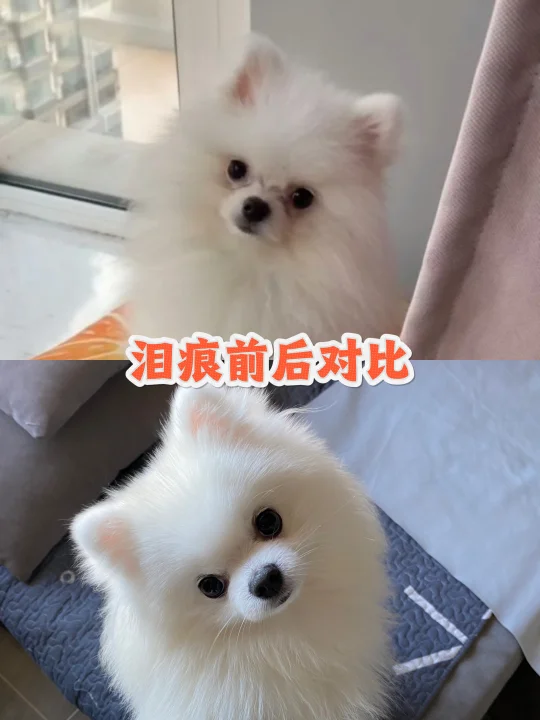 小丸子的淡化泪痕小技巧（大公开）