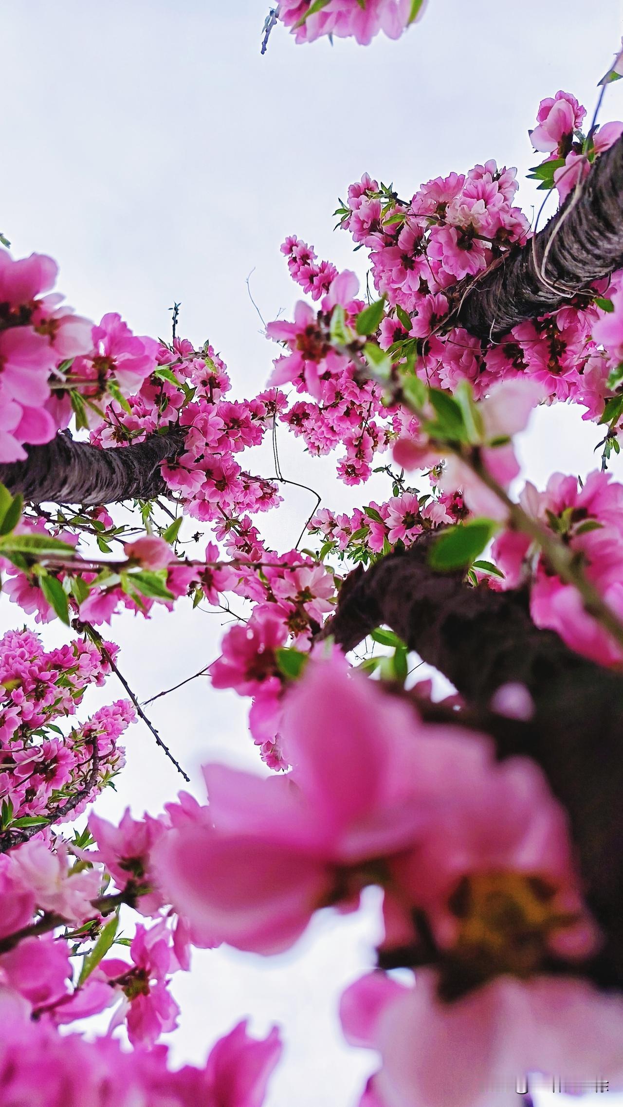 真正有价值、有用的信息不会在这样的平台上曝光出来，资金的流动一定是在暗处流淌。