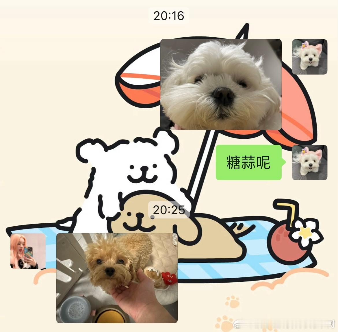 臭狗和他的好朋友们🧑🤝🧑 