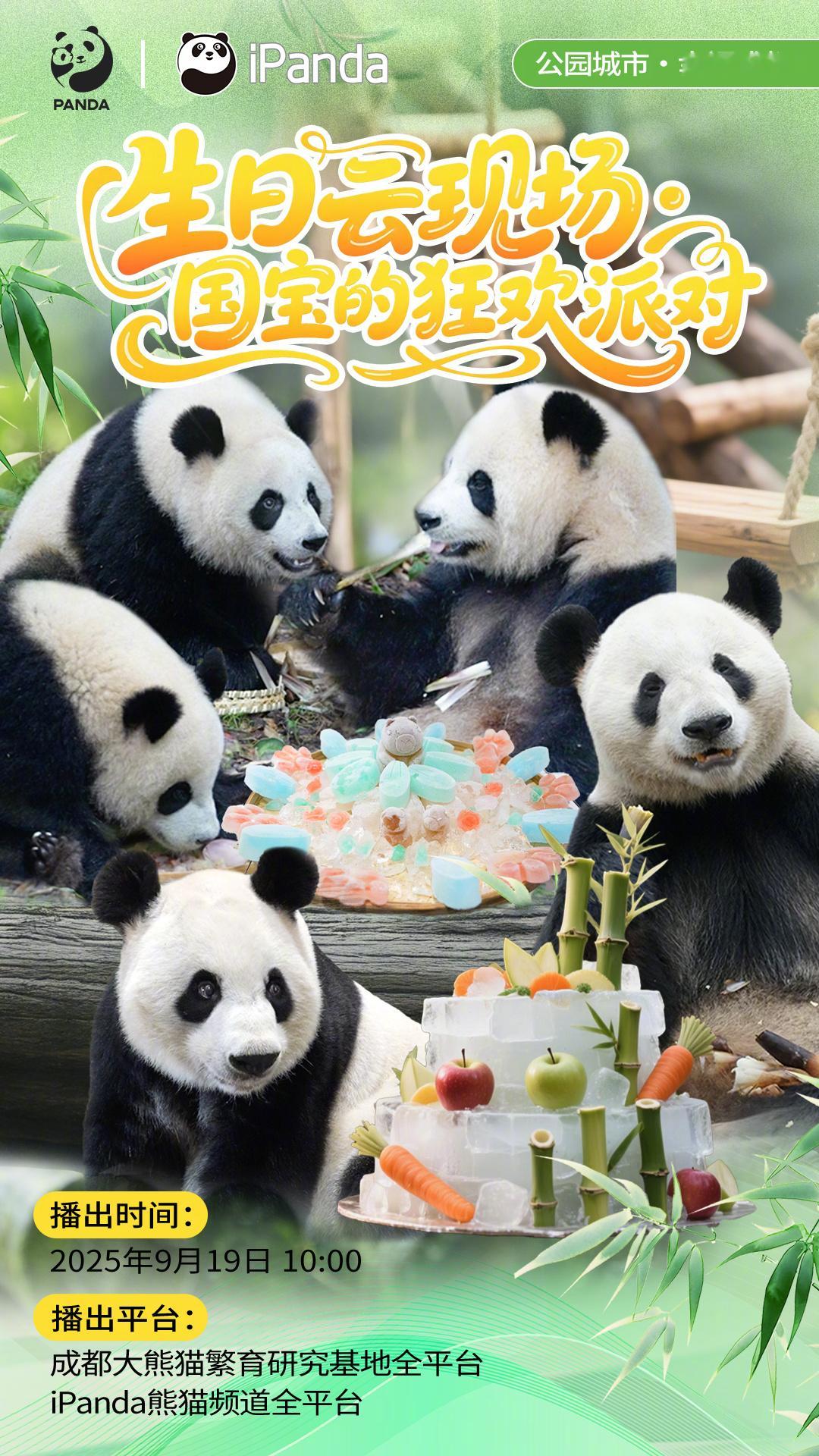 【播出预告：公园城市·幸福成都生日云现场[期待]｜国宝的狂欢派对】想知道熊宝们生