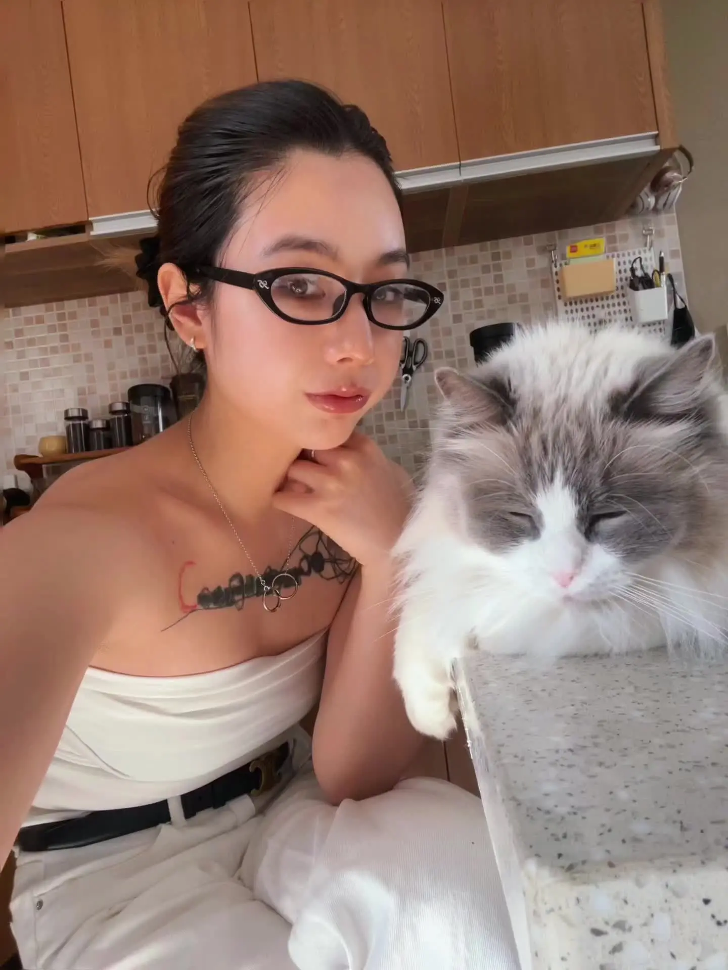 算了 跟你们这些没有猫的说不清楚