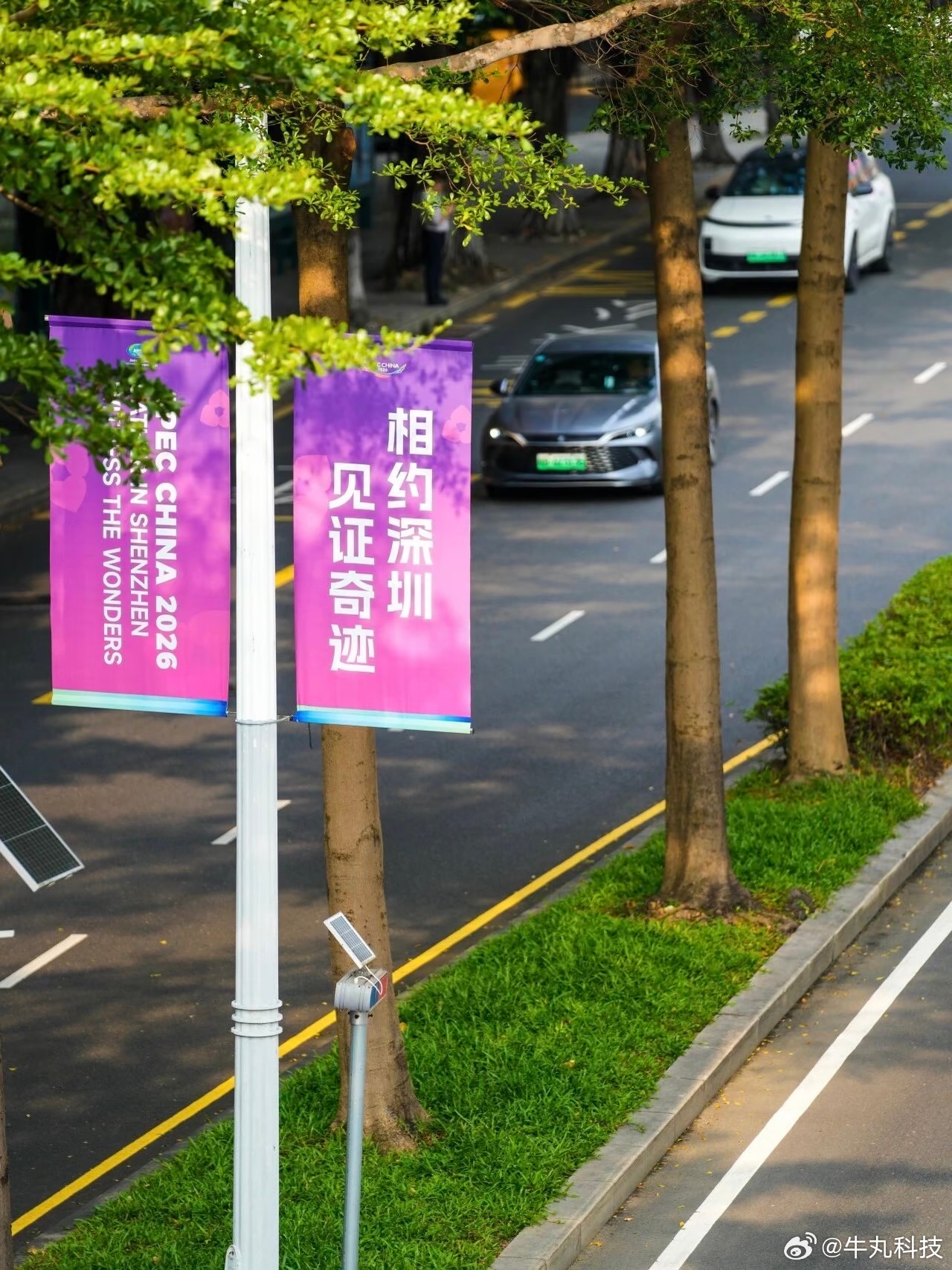 深圳现21米绿雕迎APEC还有一个月，深圳就迎来APEC啦，可以说深圳为了这次大