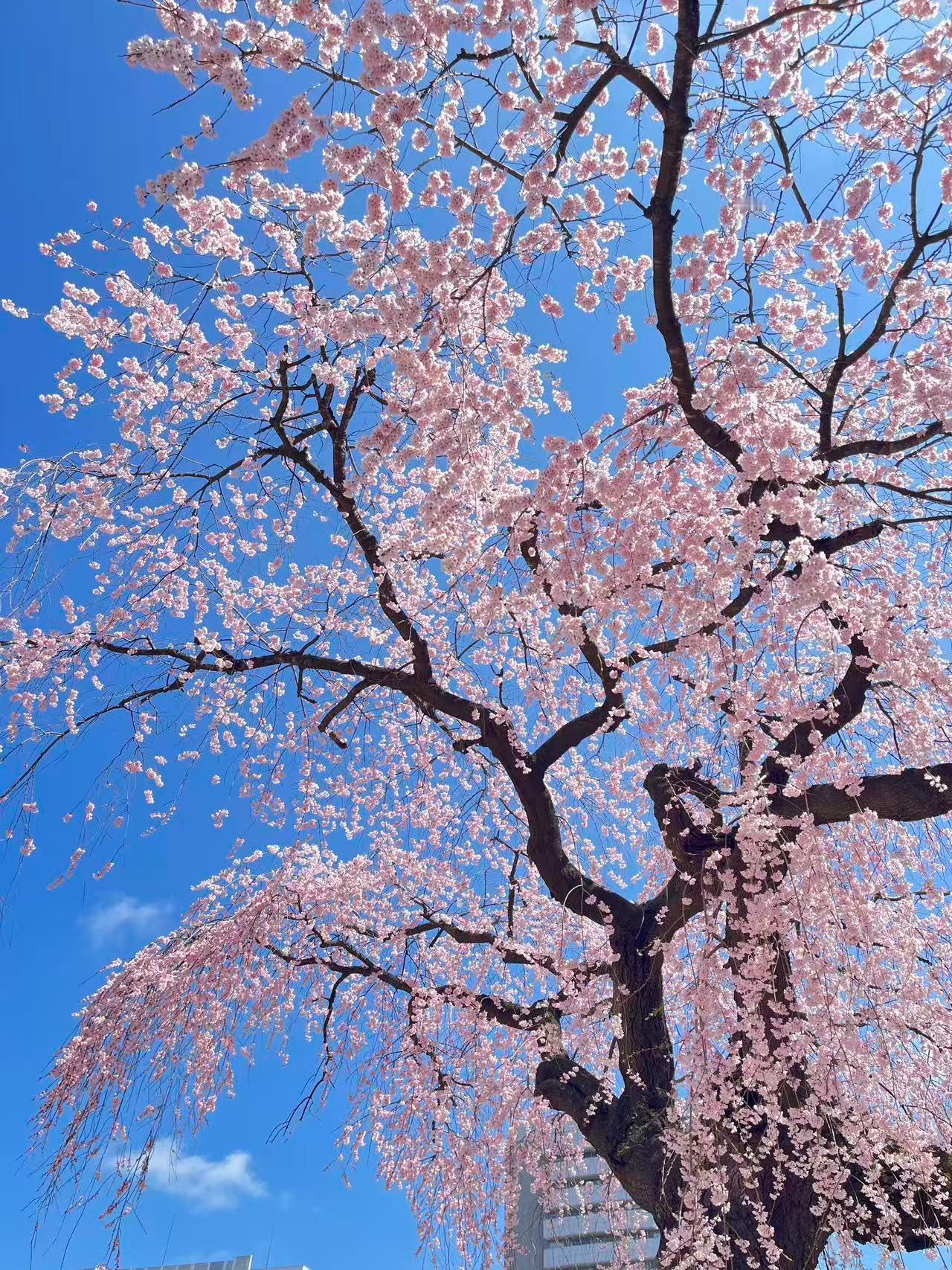 今天先到这吧 没睡的来突突一下❤️弯下身子帮助他人站起来，这是对心灵很好的锻炼！