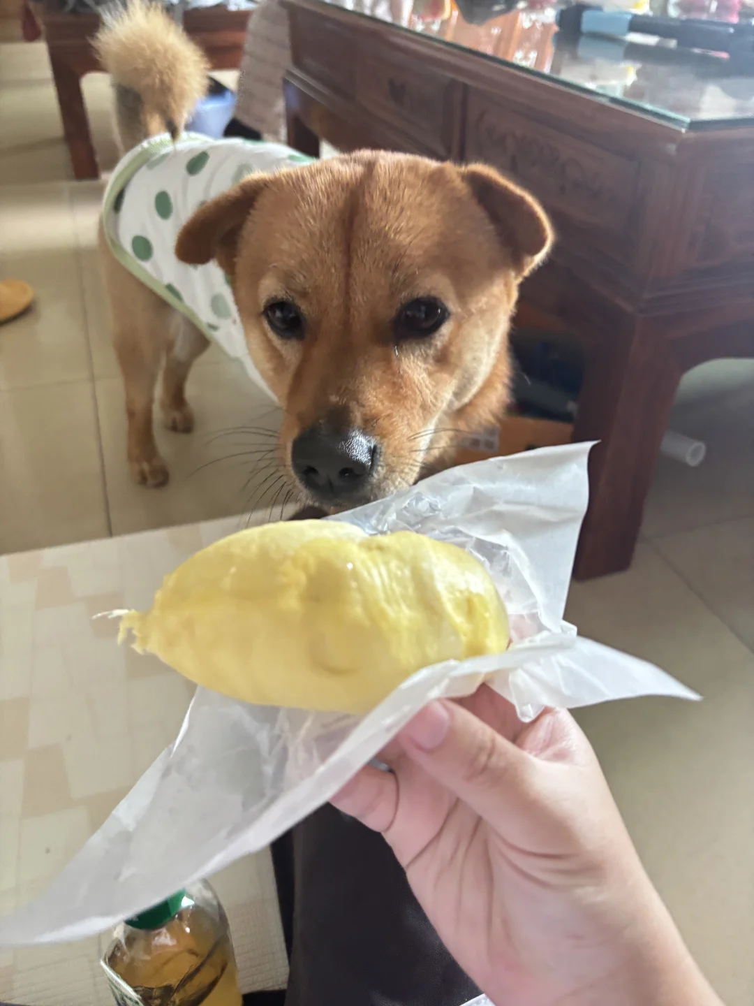 谁懂这个干包榴莲的含金量