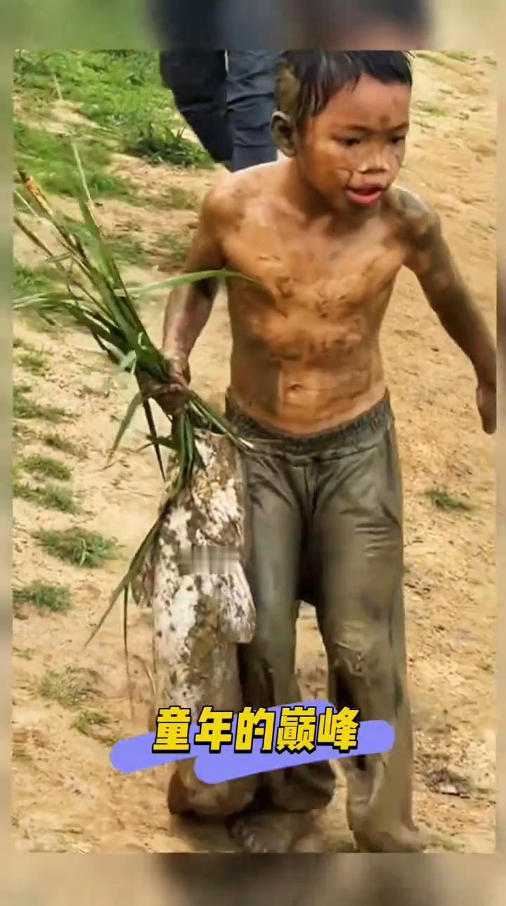 童年的巅峰。
新声人场。