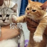 小草香爱聊科技
