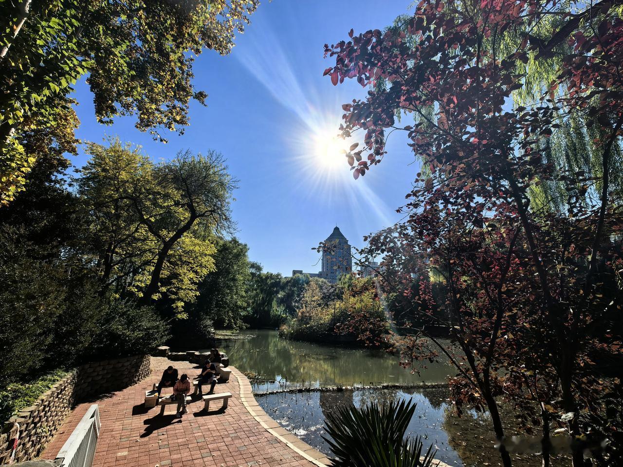北京动物园秋色宜人