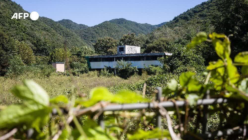 法新社：100多名被迫为驻韩美军卖淫的韩国女性提起具有里程碑意义的诉讼。一栋即将