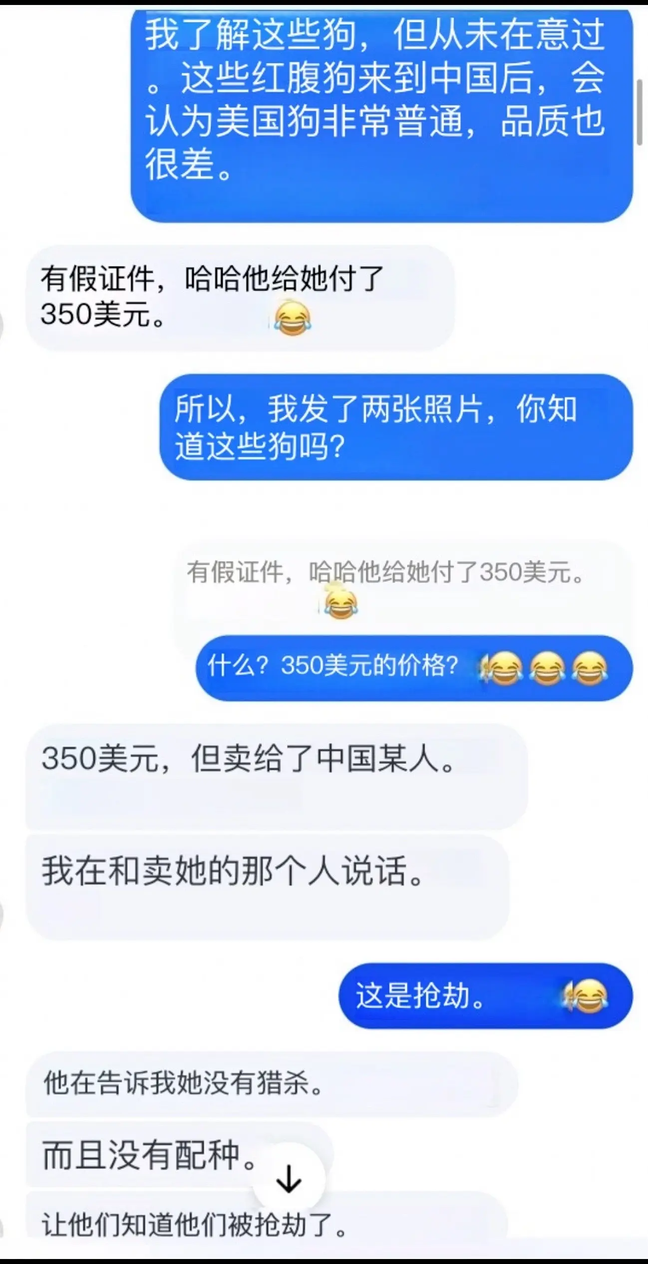 等你那么久，给大家说说，350刀PKC冠军实战后代红斑的故事吧！国内猎...