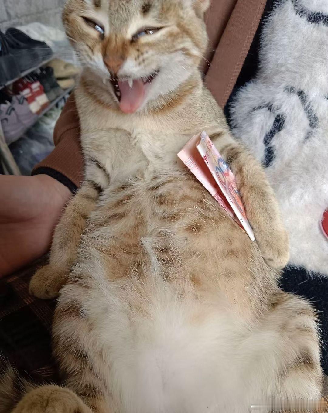 [嘻嘻] 