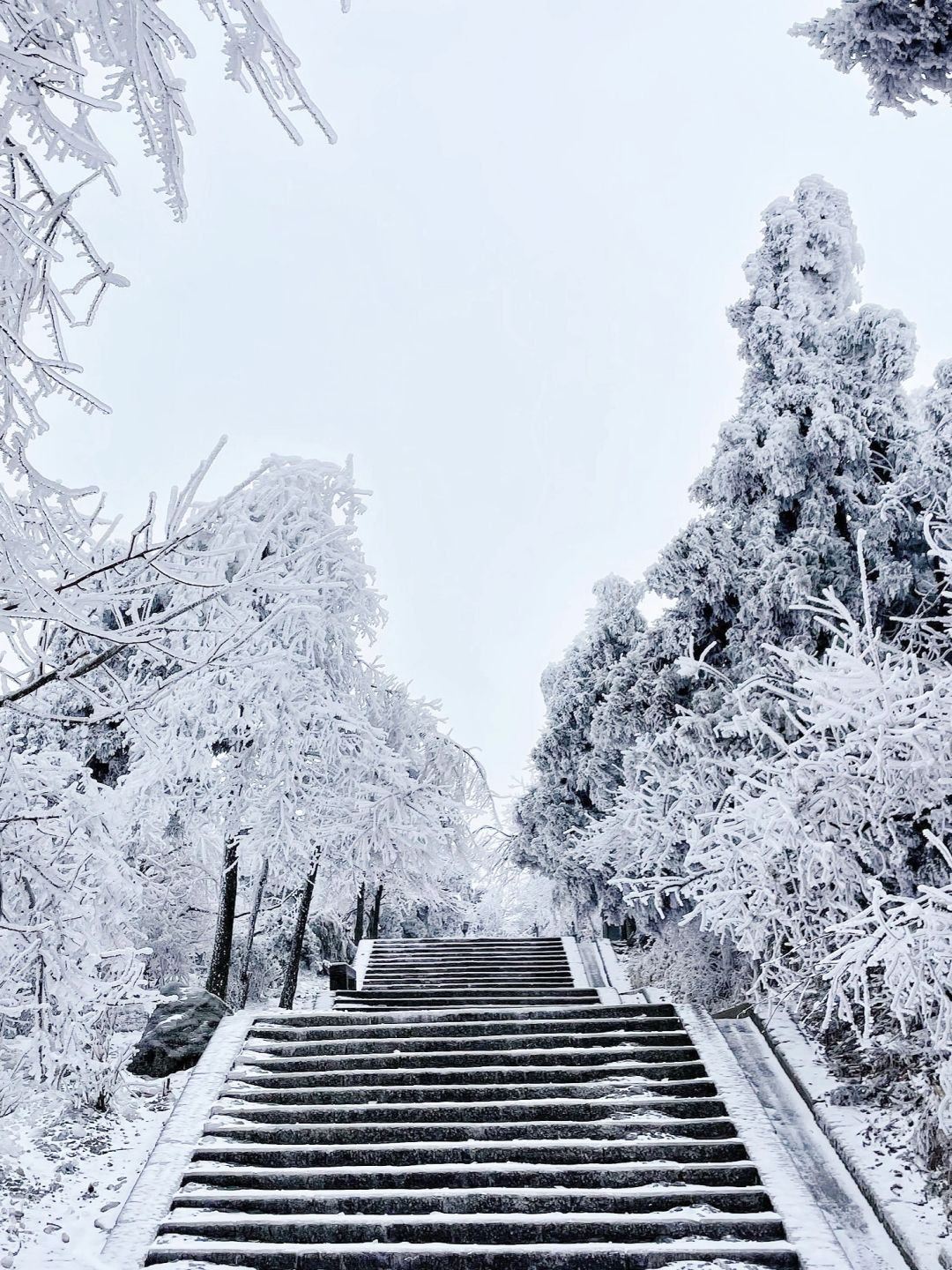就在本周！广东周边多地下雪！最后一波寒潮