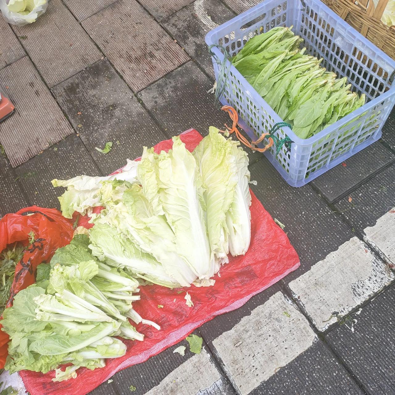 今天上午沿郴江河道散步到苏仙菜市场时，看见卖白菜苔的菜农很多，一问才知道是二元一