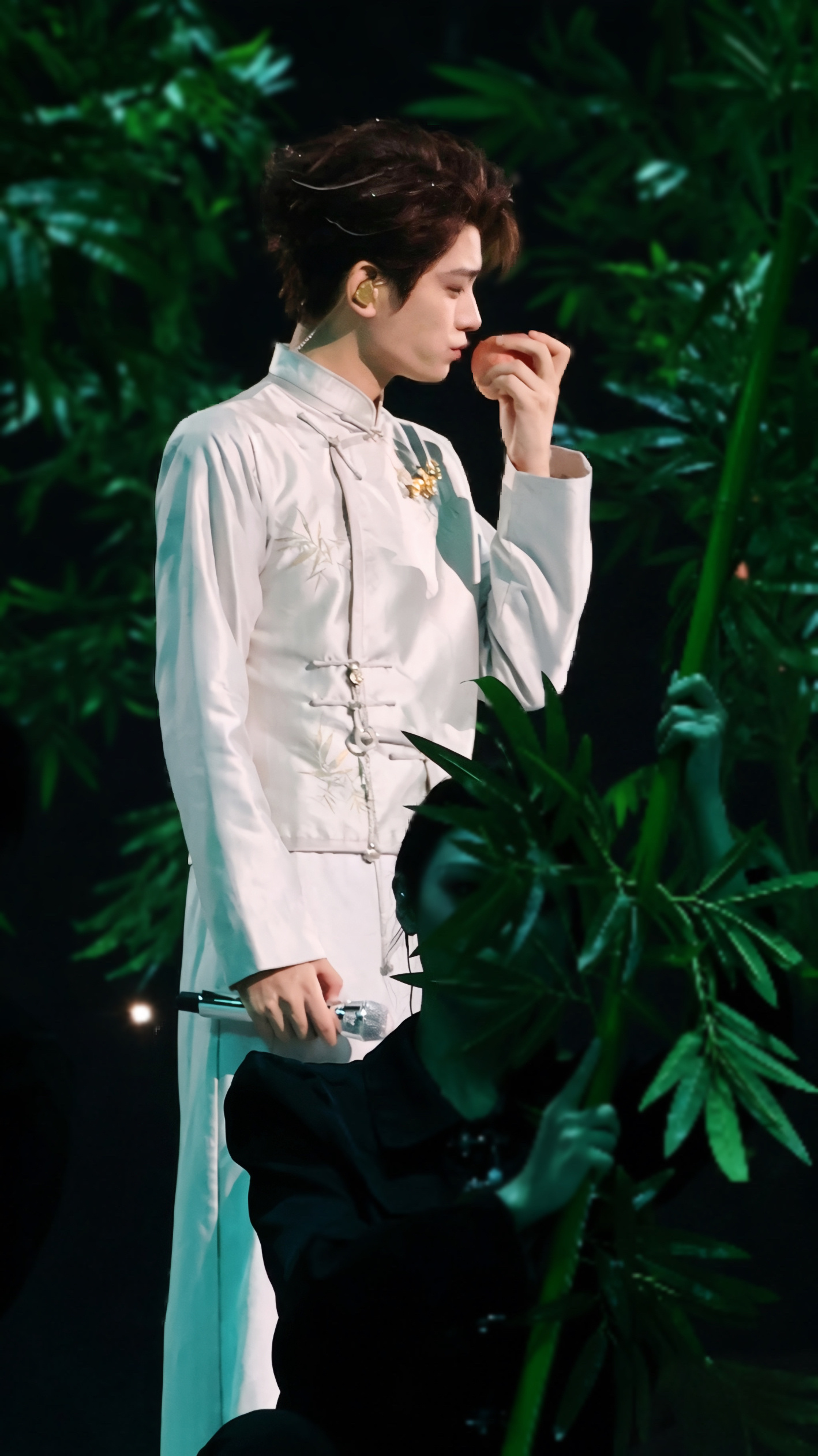 我拍的神图2《竹林里偷吃苹果的小狐狸》这张抓拍的也是别有一番趣味目前没看到雷同的