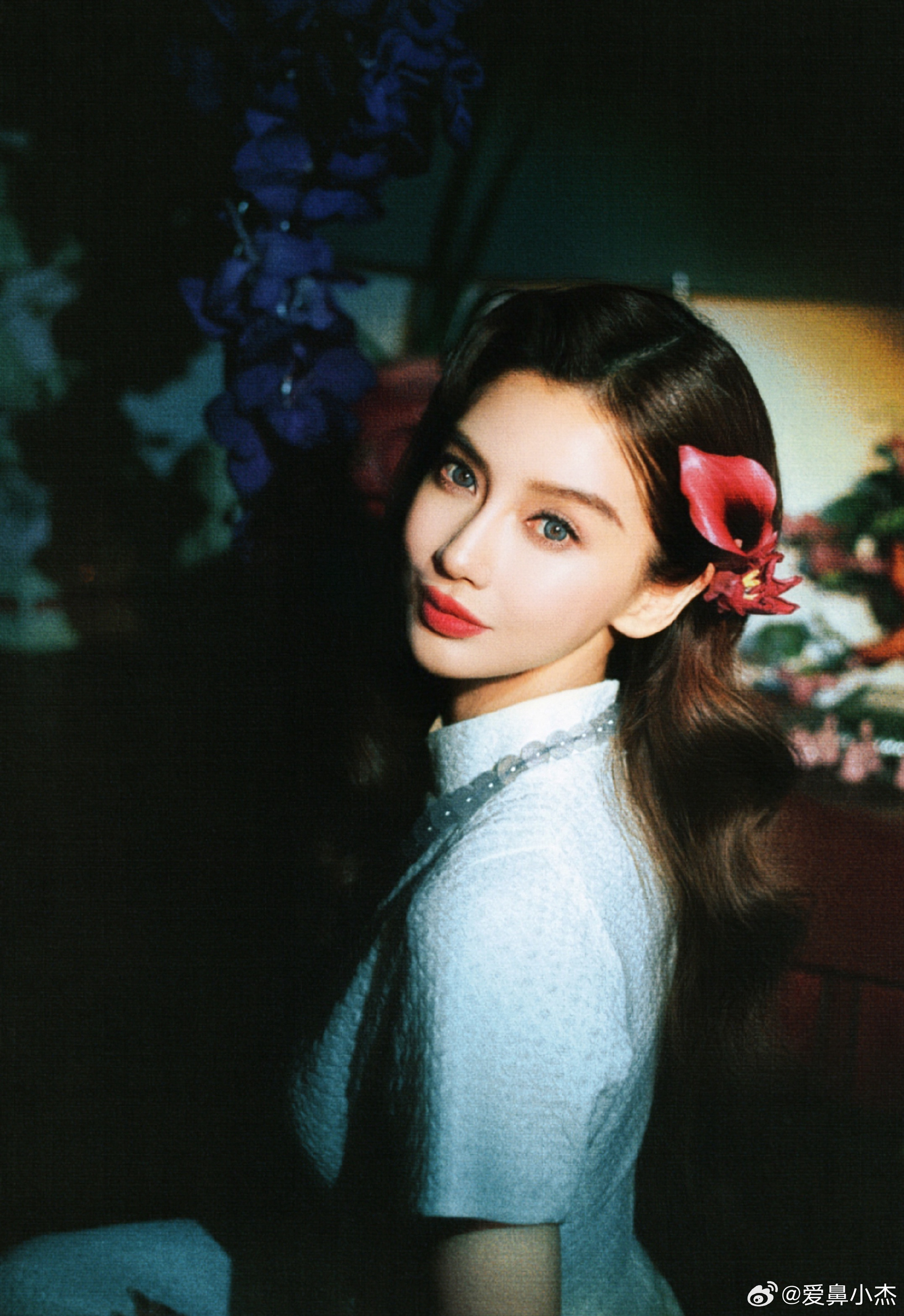 Angelababy金白开摄影 |angelababy 当紫兰遇见红瓣，当旗袍遇