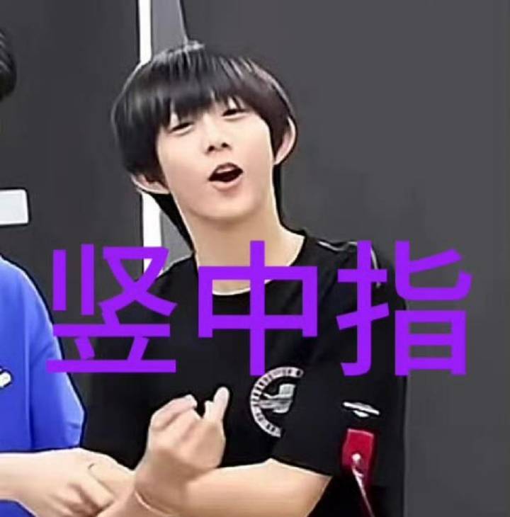 陈奕恒你也爱🌲中指吗 记得写道歉信🥹😭 ​​​