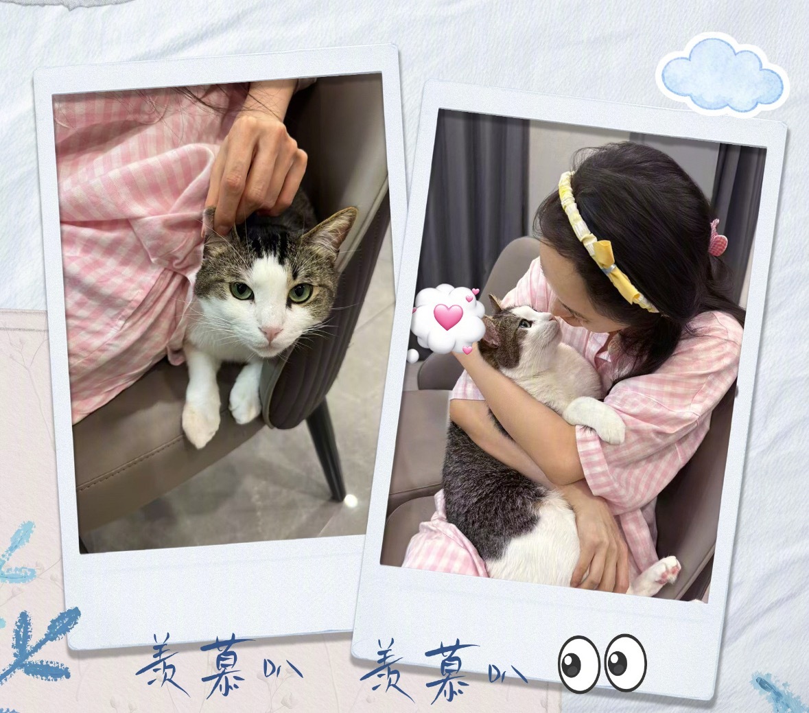 杨幂 又一次羡慕猫了我要到杨幂怀里亲亲！ 