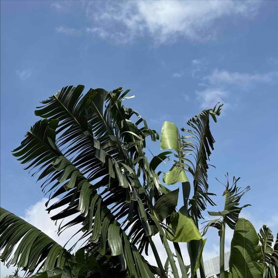 11月10日，一条关于贵阳市原官员的传递当当地。
 
这条信息是关于高杨的。
 