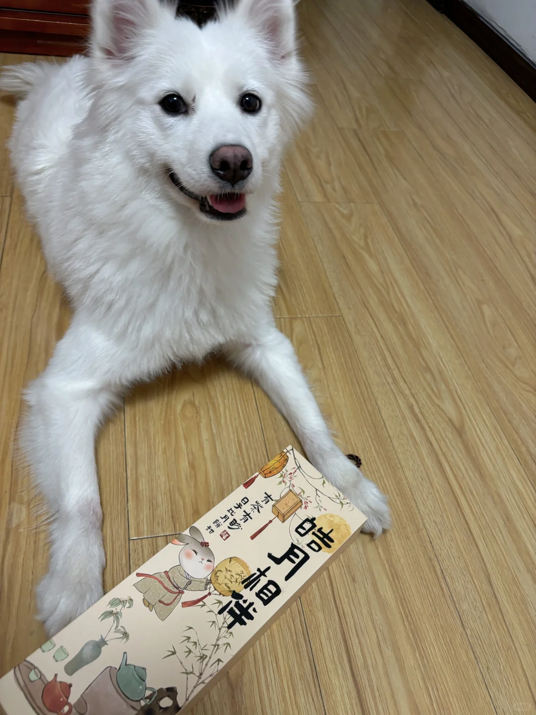 ee们 中秋快乐呀