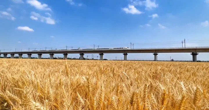 果然视频丨地区生产总值达1010亿元，平度市跻身“双千亿县”