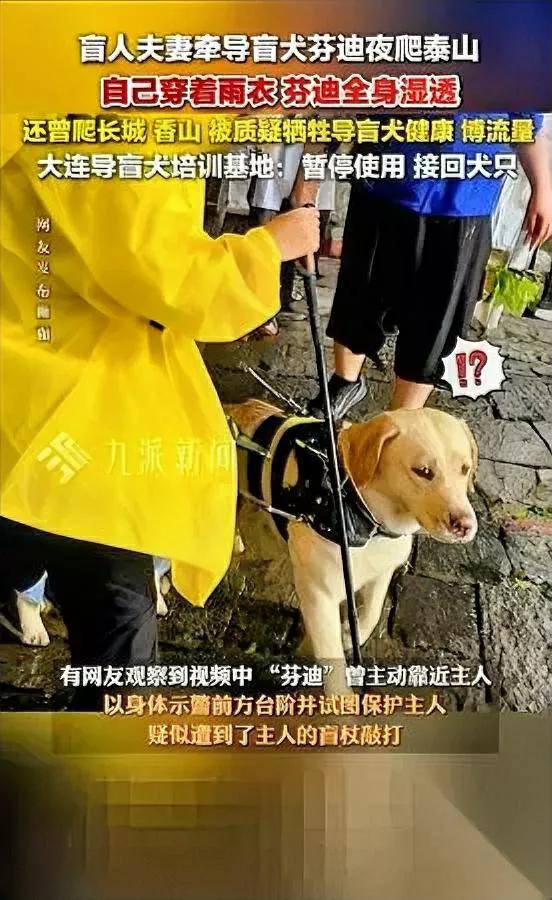 北京盲人夫妻摊上事了！

导盲犬累瘫还硬拽爬山？

这对来自北京的按摩师夫妻，靠