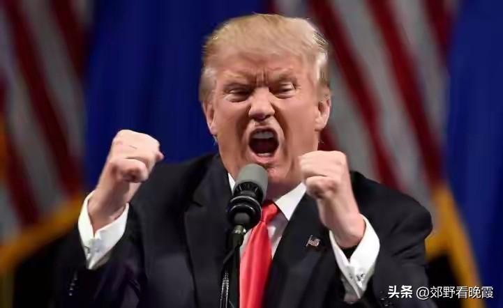 51票反对50票赞成！美投票结果出炉，特朗普下令撤兵？美航母出动