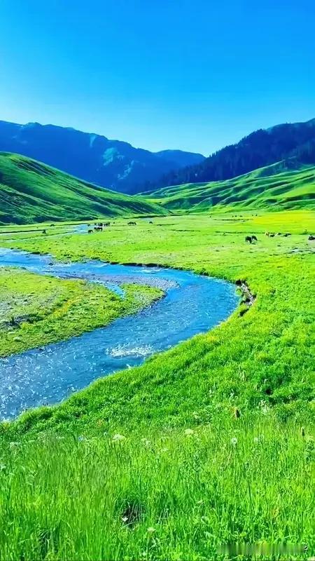 亲近大自然，没有固定的“最好”方式，得看个人情况。基础入门的话，可以试试打开感官