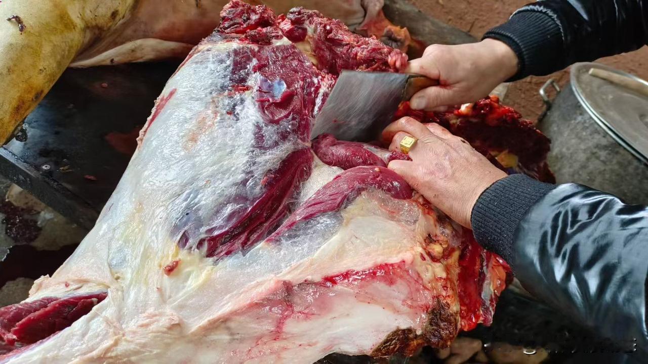 新鲜现宰的羊肉谁能不爱！在昆山千灯镇，石浦羊肉传承800多年，秋意渐浓时，那熟悉