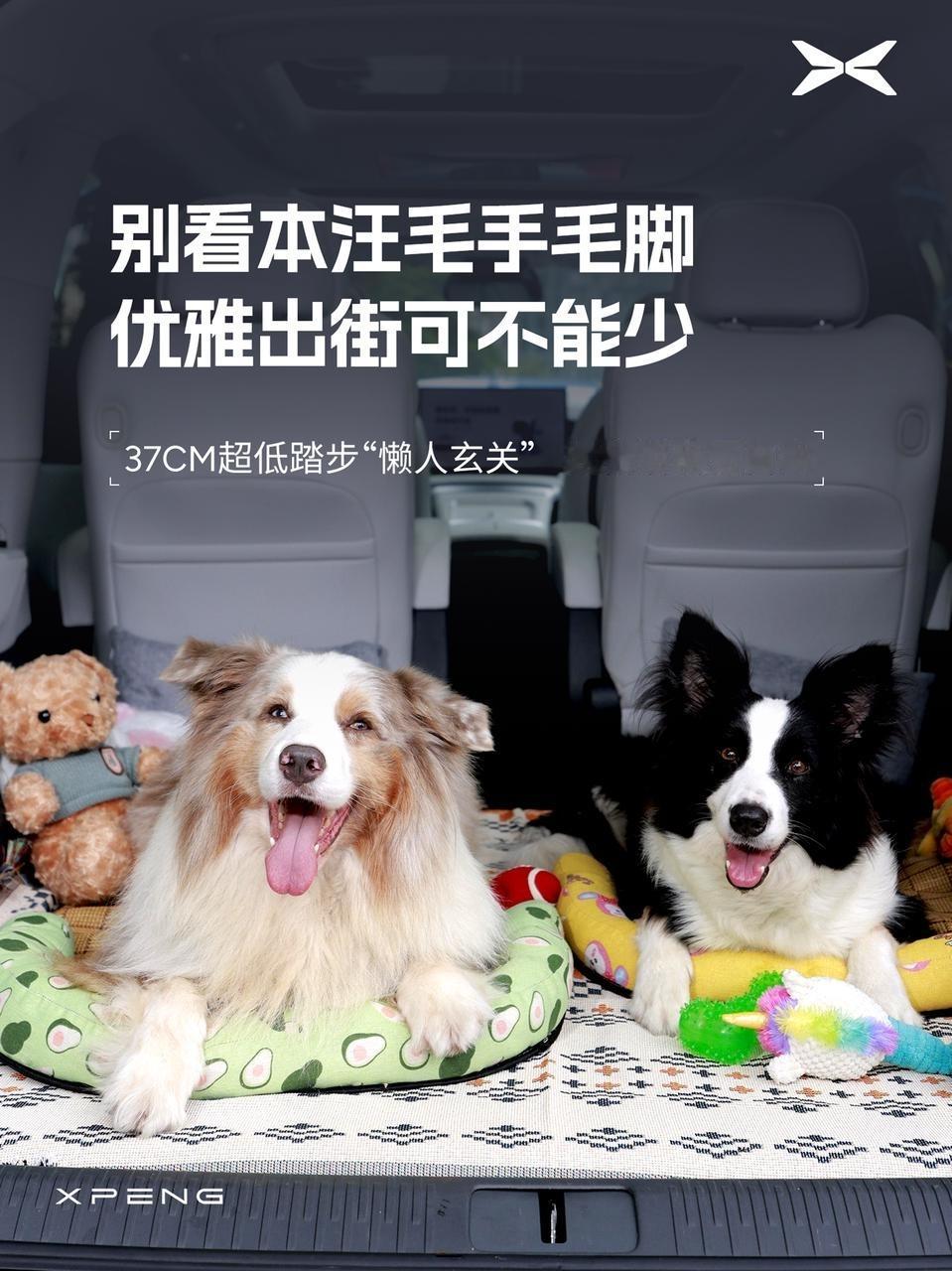 小鹏X9百大魔变场景再上新宠物空调房 小鹏X9 OTA新增了宠物模式，为毛孩子上