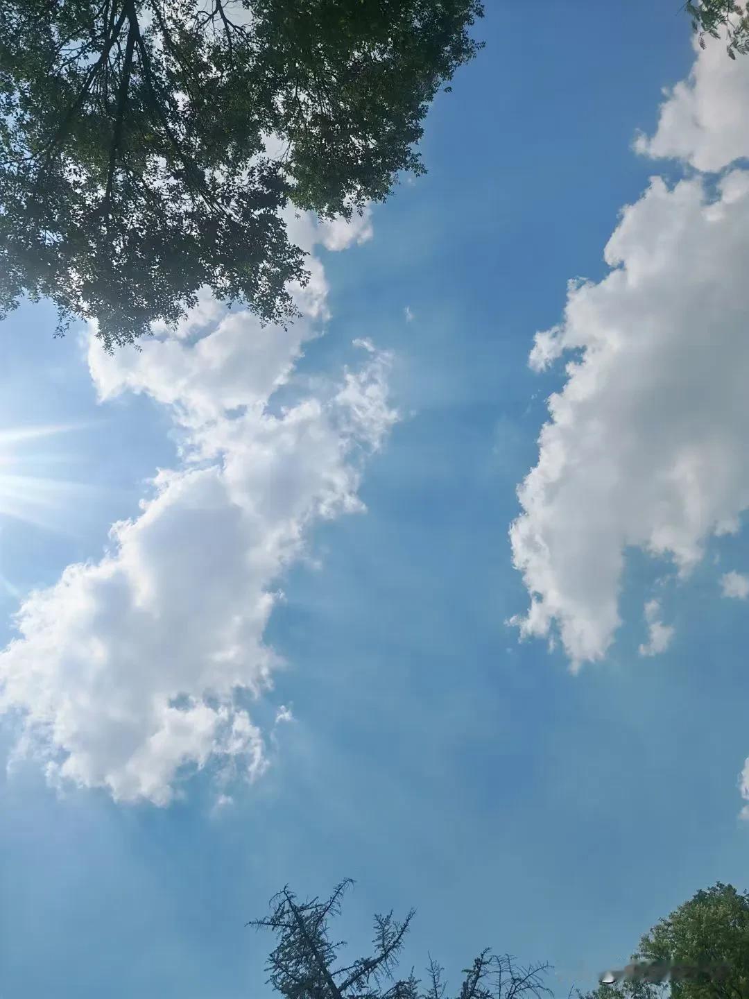 包括我自己在内，几乎所有人，在吵架的时候都会向对方怒吼。其实怒吼是很没有风度的表